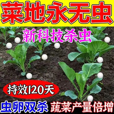 防虫片家用园艺防小黑虫飞蚜虫白粉虱蛾飞虫小菜家用盆栽绿植花卉