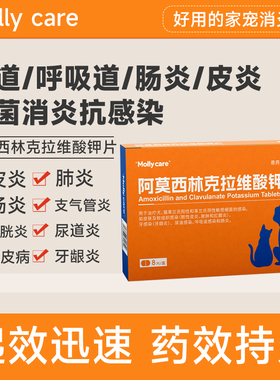阿莫西林克拉维酸钾片猫尿路感染肺炎皮炎消炎药抗菌抗感染呼吸道