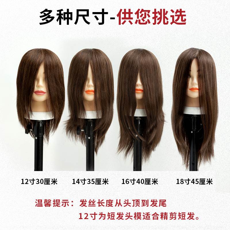 头模美发全真发理发店学徒练习剪发公仔头模型造型专用假人模特头