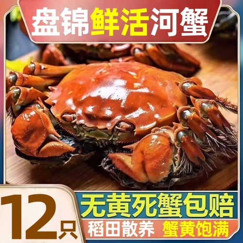 盘锦河蟹鲜活蟹12只稻田蟹礼盒