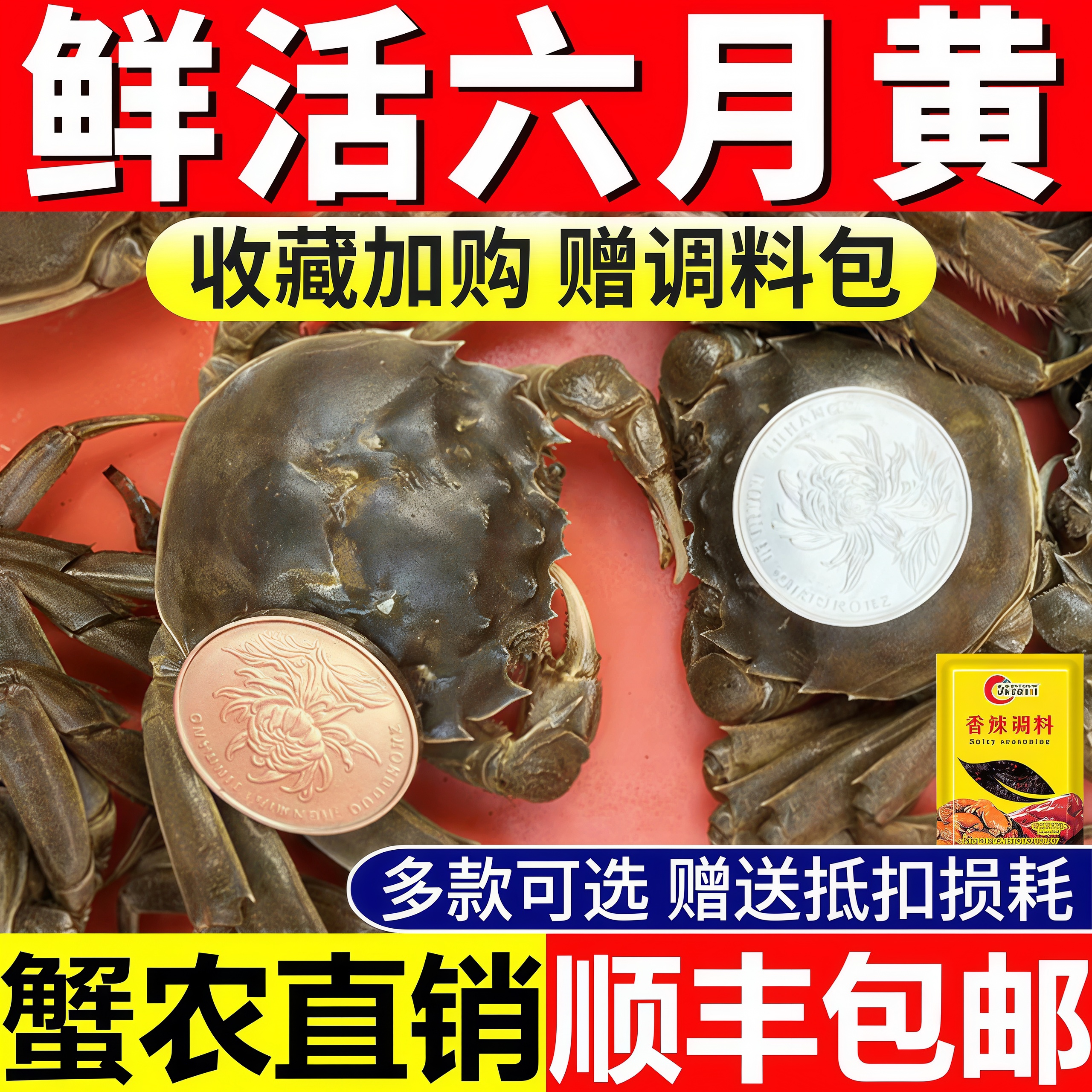 六月黄螃蟹大闸蟹鲜活蟹小螃蟹现货一元蟹全公蟹清水河蟹稻田蟹