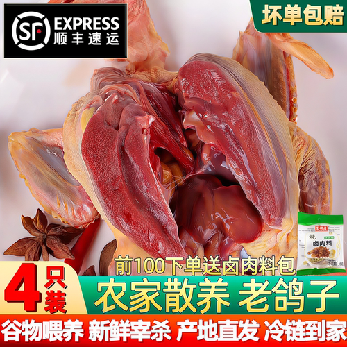 农家散养现杀新鲜乳鸽滋补顺丰