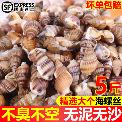 当季鲜冻海螺丝麻辣海鲜