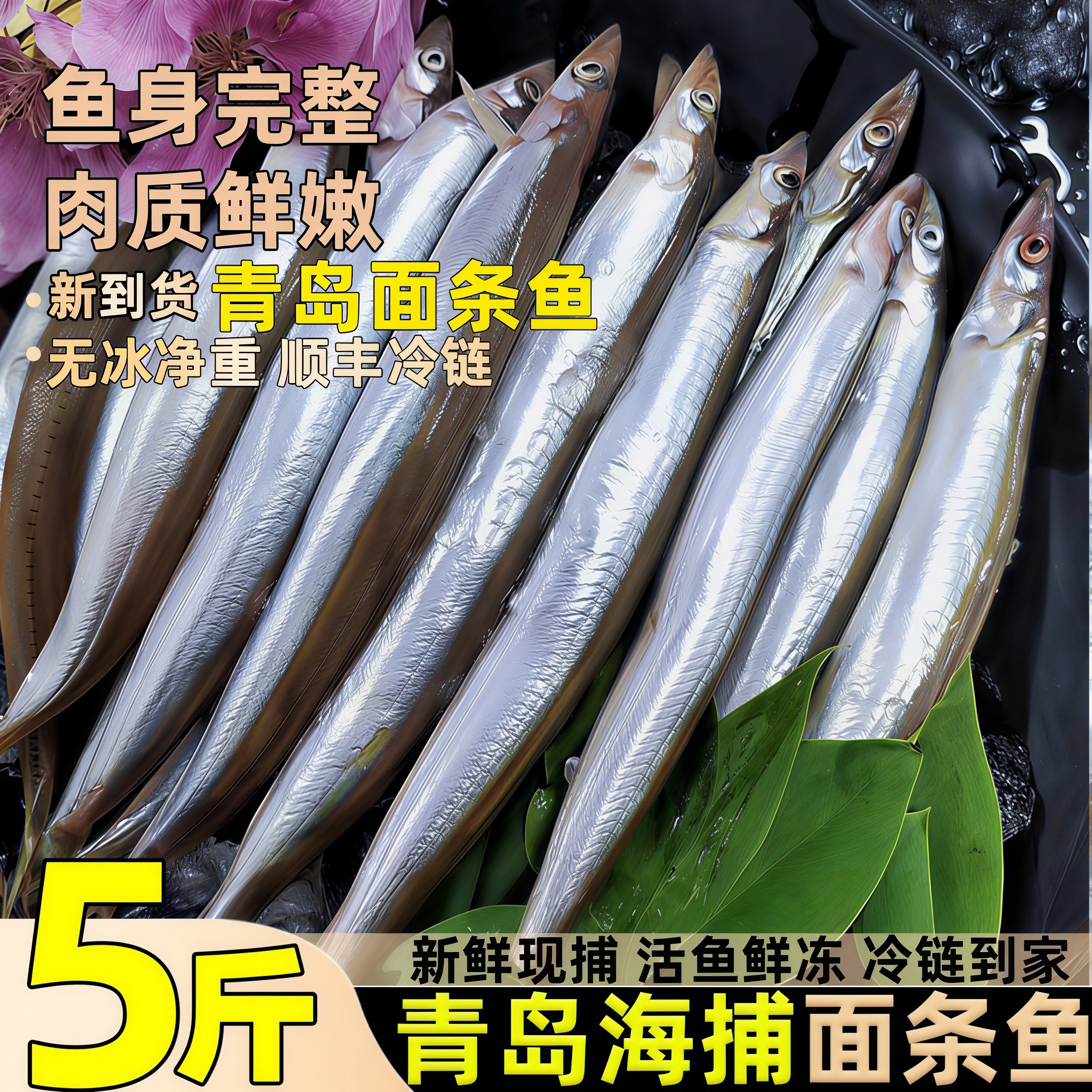 青岛面条鱼鲜活冷冻泥鳅鱼新鲜海捕小青鱼海鲜非沙丁鱼小银鱼批发