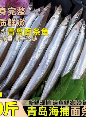 青岛面条鱼鲜活冷冻泥鳅鱼新鲜海捕小青鱼海鲜非沙丁鱼小银鱼批发
