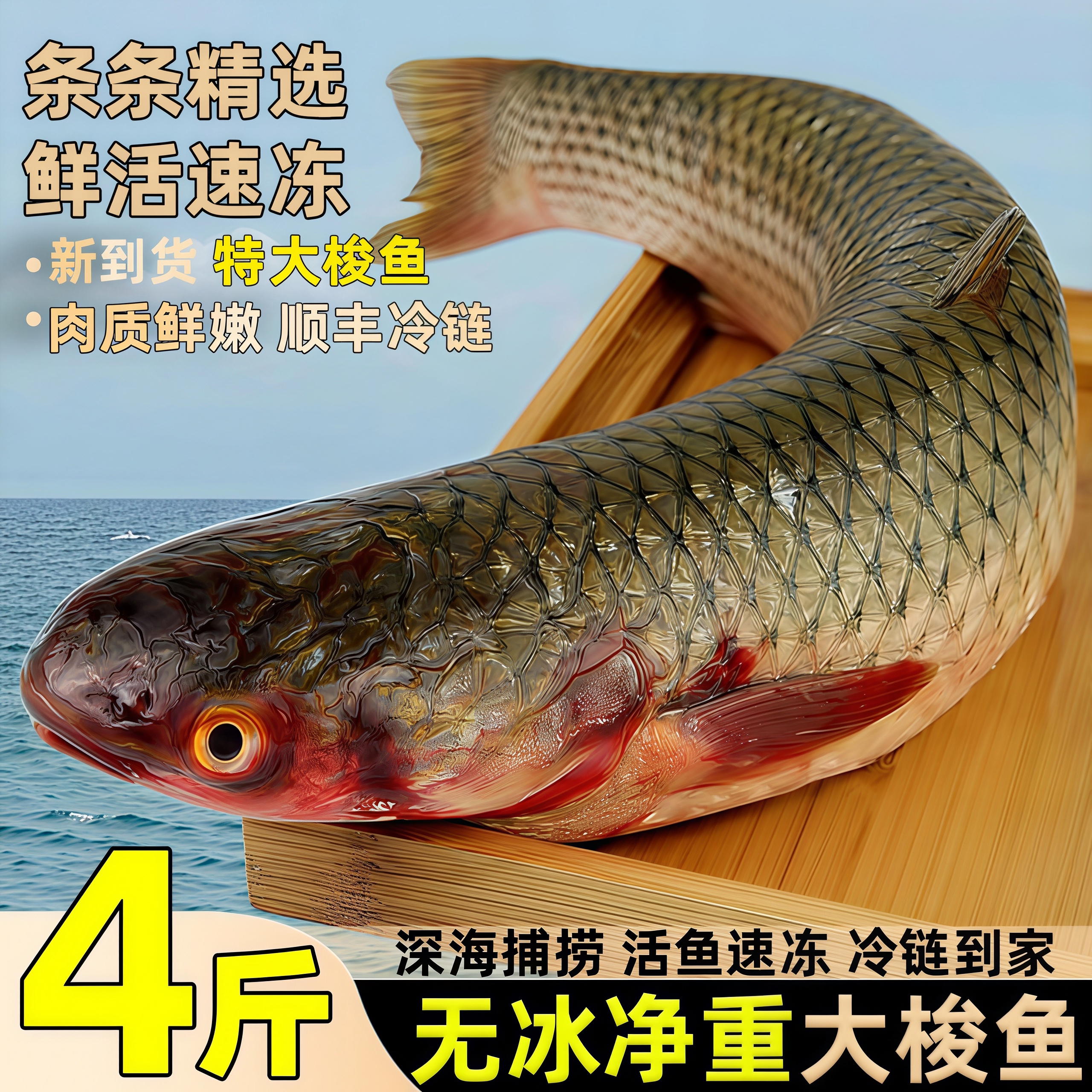 梭鱼鲜活冷冻特大号红眼大梭鱼