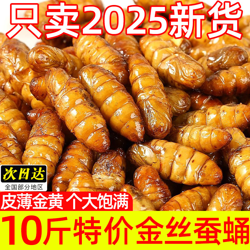 新鲜金丝蚕蛹商用烧烤精选