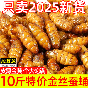 新鲜金丝蚕蛹商用烧烤精选