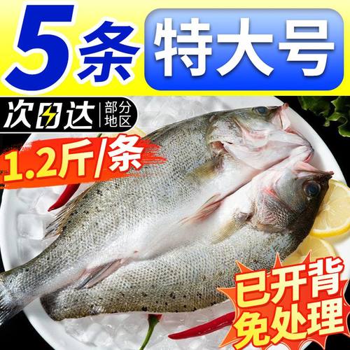三去开背海鲈鱼免清理送货到家