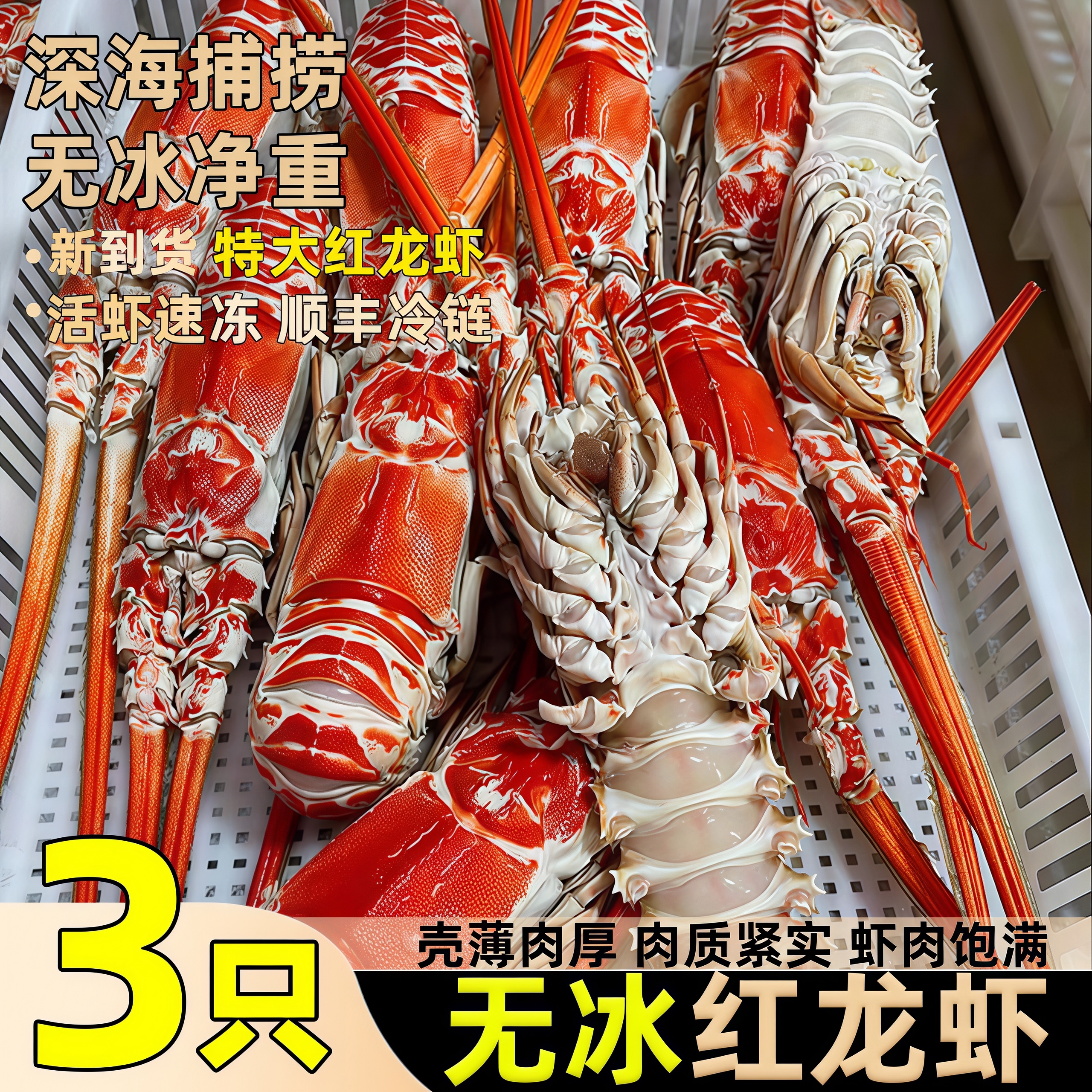 红龙虾鲜活冷冻特大速冻海虾商用