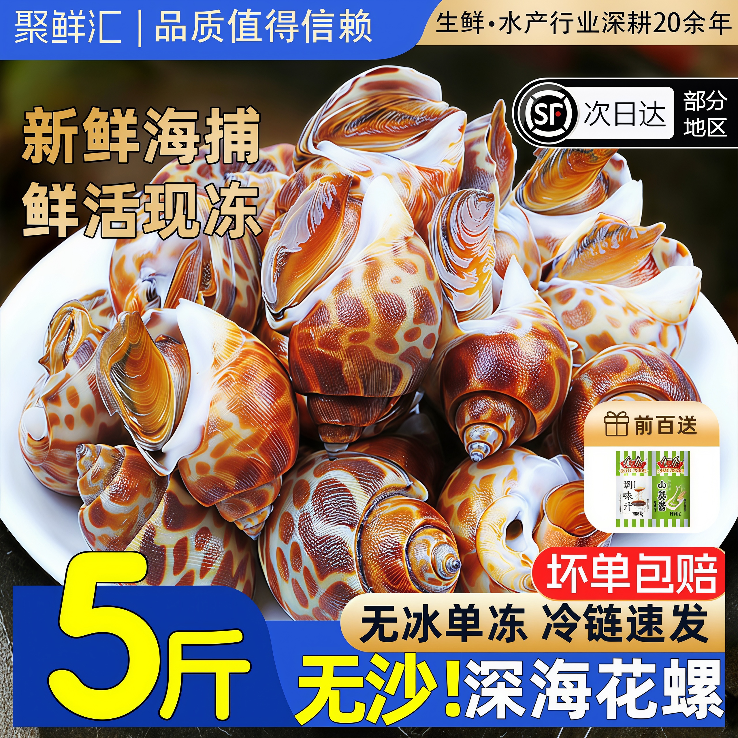 花螺鲜活新鲜海螺特大号海鲜水产鲜活鲜冻冷冻东风螺特大花螺贝类