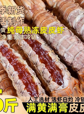 全母皮皮虾鲜活冷冻特大带膏带籽虾爬子椒盐即食琵琶海虾海鲜水产