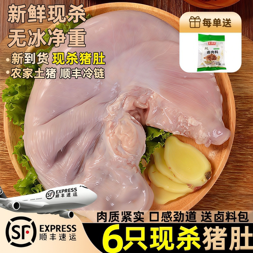猪肚新鲜猪肚批发整只猪肚商用生鲜肚猪肚子生猪肚新鲜批发猪内脏