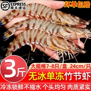 竹节虾鲜活冷冻九节虾斑节虾特大刺身级烧烤食材海鲜水产整箱顺丰