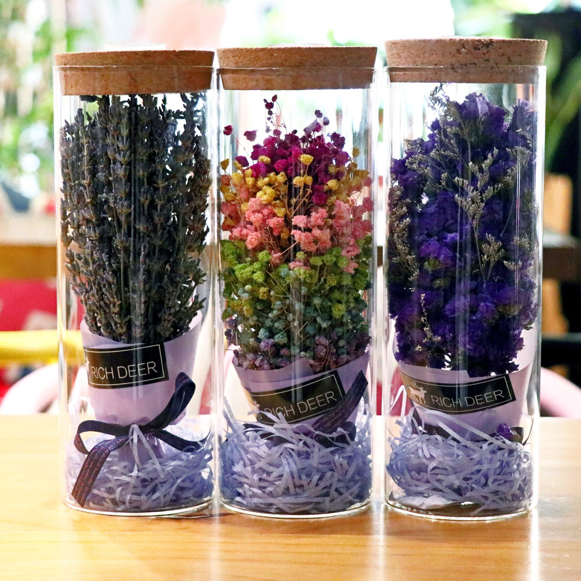 满天星发光瓶成品勿忘我薰衣草干花情人节生日礼物永生花束