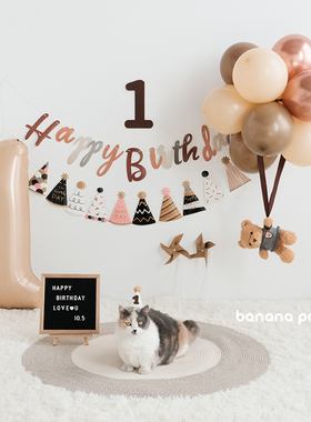 森系奶油美拉德生日派对布置拉旗小熊热气球猫咪狗狗宠物围兜数字