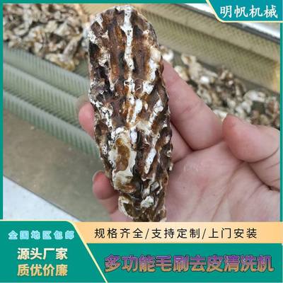 全自动土豆去皮机 土豆生姜清洗去皮设备 不锈钢毛刷清洗机