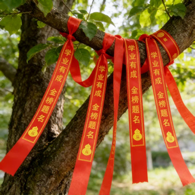 学子金榜题名绑带红丝带中高考升学祝福礼带景区挂树上祈愿平安带