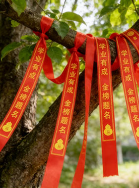 学子金榜题名绑带红丝带中高考升学祝福礼带景区挂树上祈愿平安带