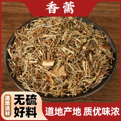 中药材特级野生香薷泡水500g克正品香需香儒饮泡茶佩兰茶包香薷草