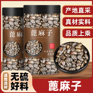 新货野生蓖麻子蓖麻籽500克包邮红大麻子中药材蓖麻仁蓖麻种子