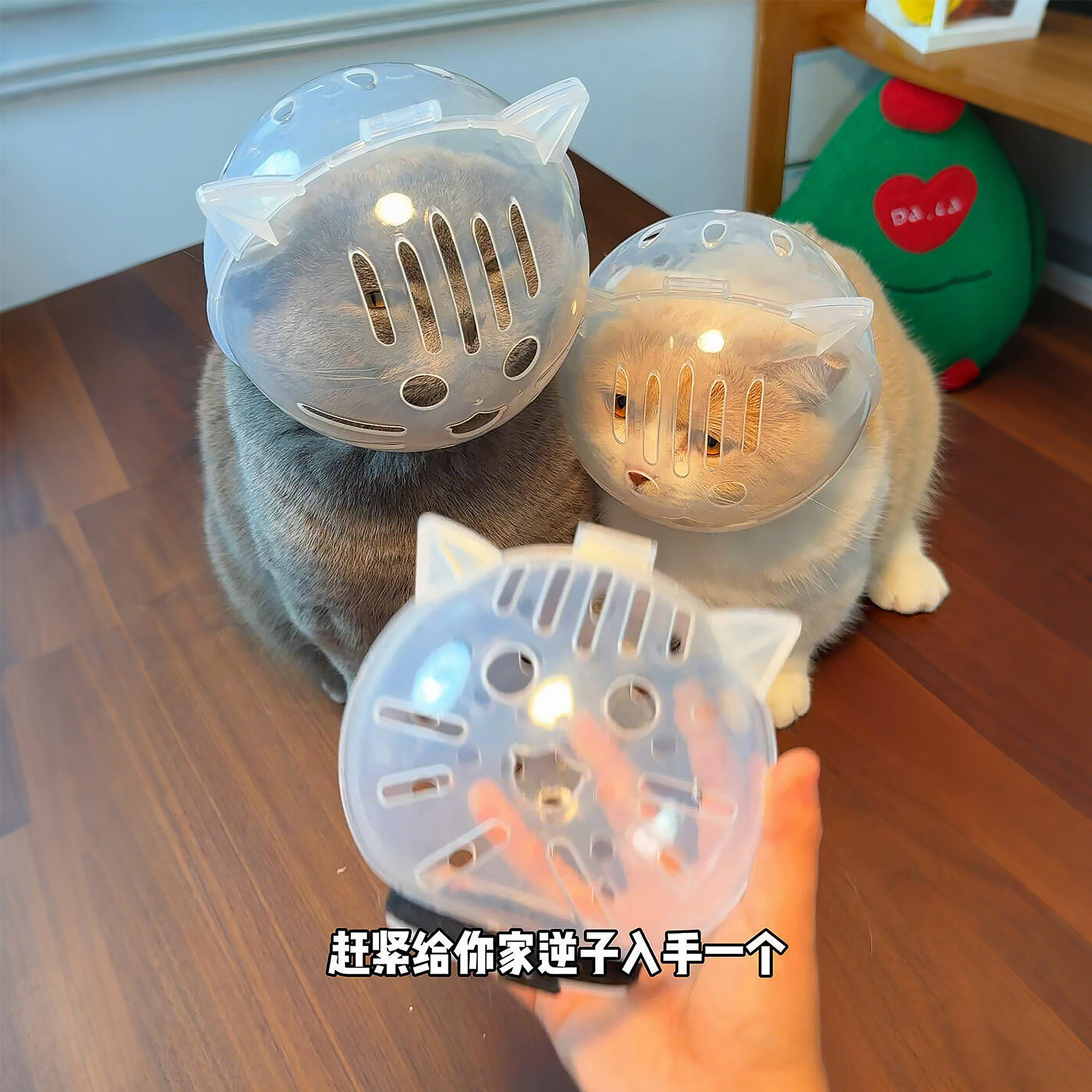 猫咪防咬头套剪指甲洗澡防脱头罩透气不闷热防打架太空罩美容神器