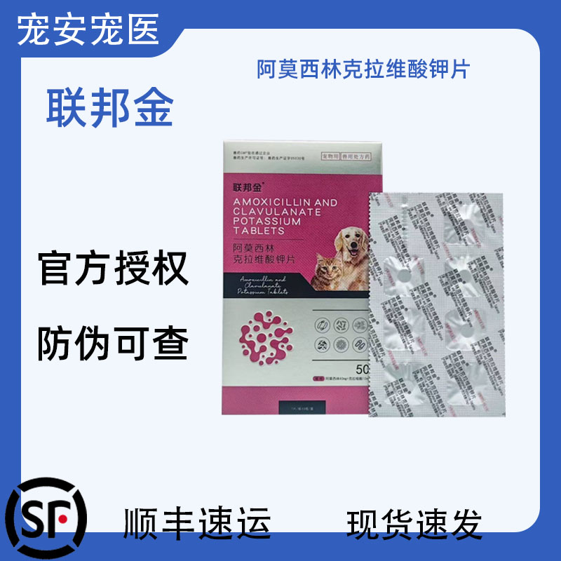 联邦金犬猫鼻支感冒消炎片