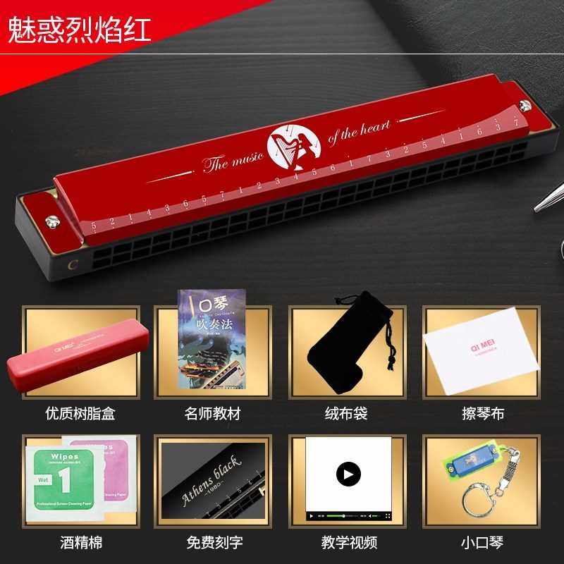 口琴儿童初学者口笛玩具24孔复音c调入门级口风琴男女孩乐