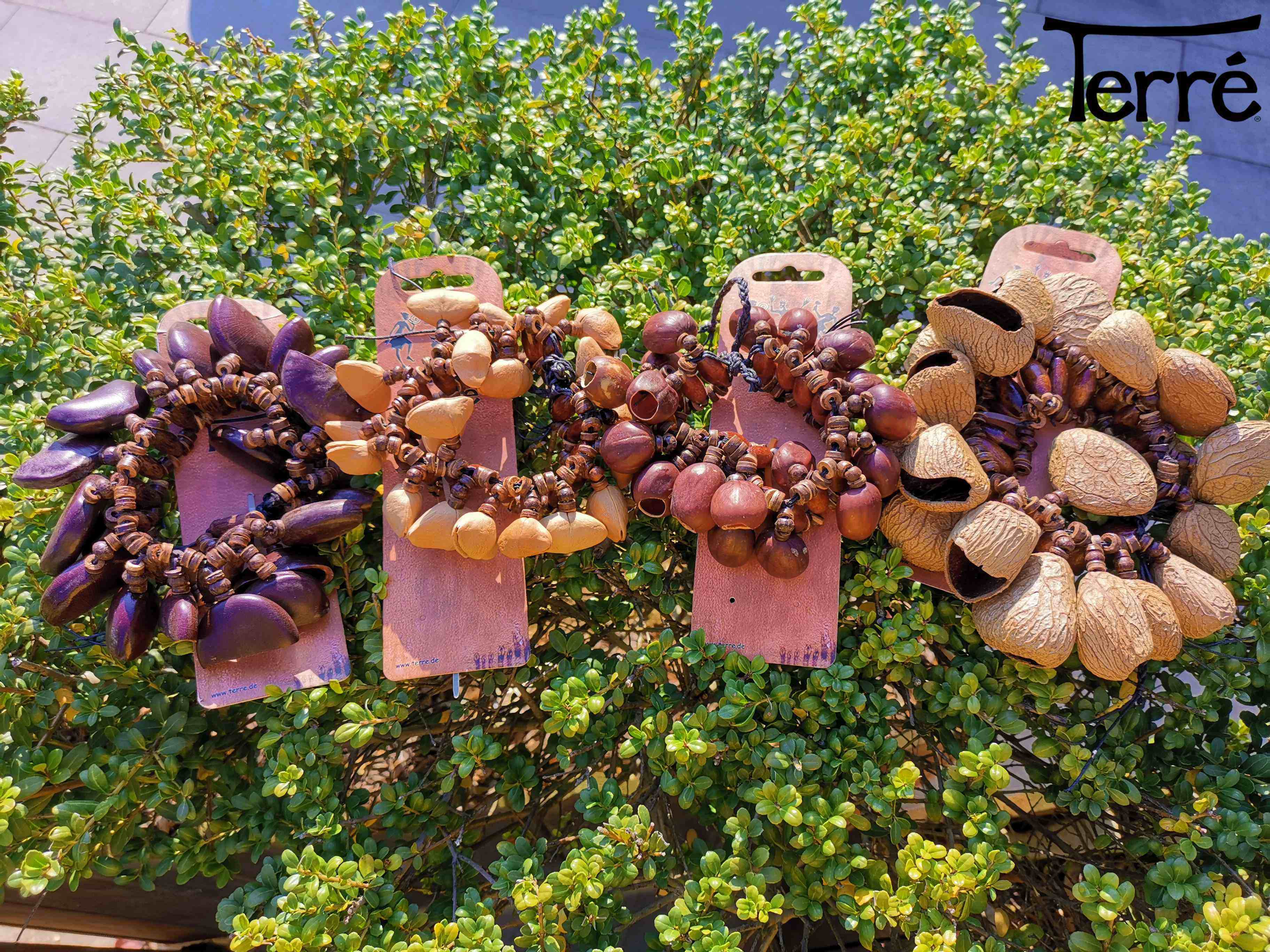 正品德瑞terre果实手链果实脚链摇铃shakers非洲鼓伴奏打击乐器进