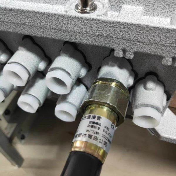 防爆脉冲控制仪EX可编程增安型隔爆IIBIIC袋式除尘器用24V在离线