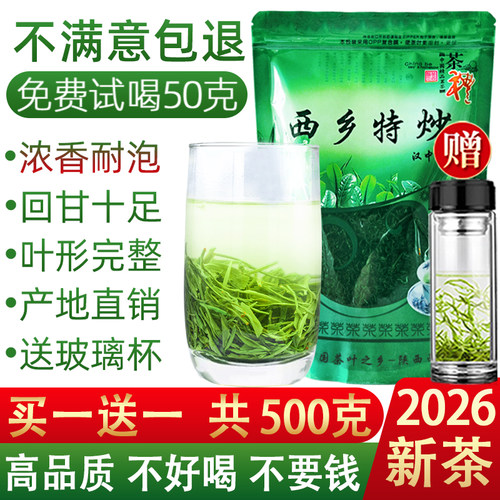 汉中炒青2026年新茶西乡特炒500g