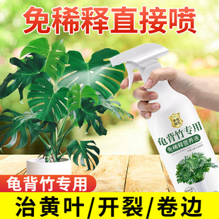 龟背竹营养液免稀释喷施叶面肥水培龟背竹专用肥锈斑病黄叶液体肥