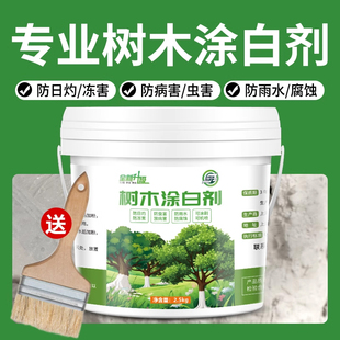 树木果树树干涂白剂防虫防冻大树石灰粉刷树白灰涂树越冬过冬保护