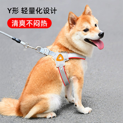 2025新款狗狗牵引绳胸背带背心式宠物遛狗绳中小型柴犬犬法斗柯基