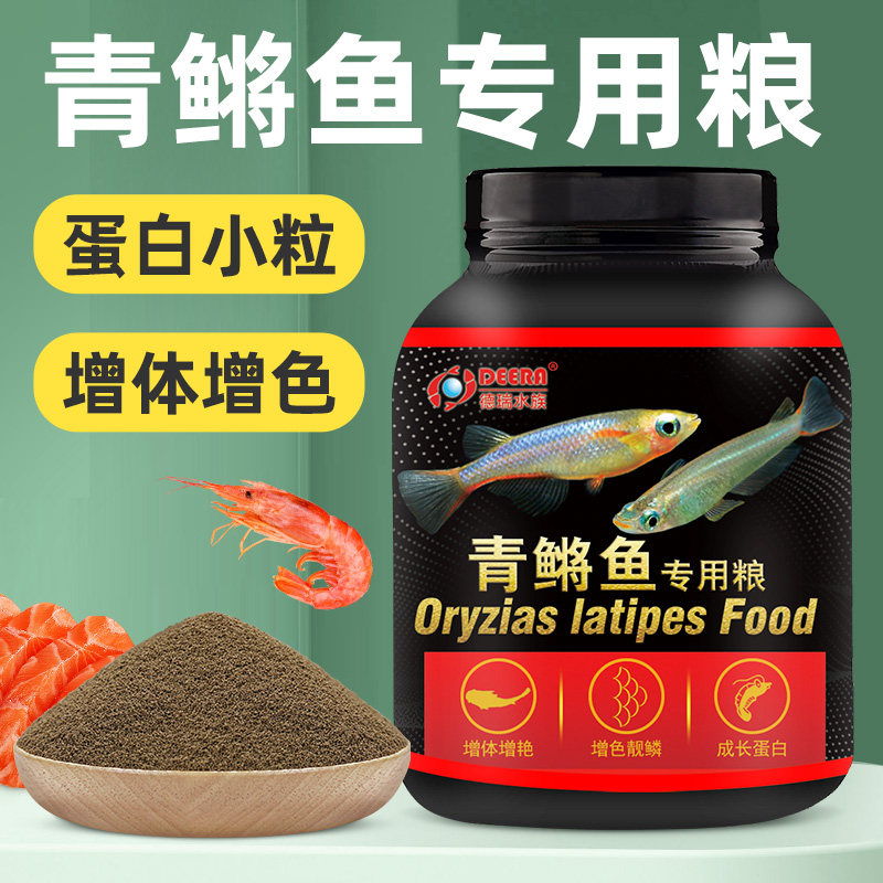 青鳉鱼饲料观背青鳉小型鱼弓背专用青将鱼观赏鱼小金鱼鱼食小颗粒