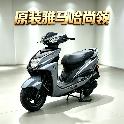 原装雅马哈尚领125cc摩托车燃油