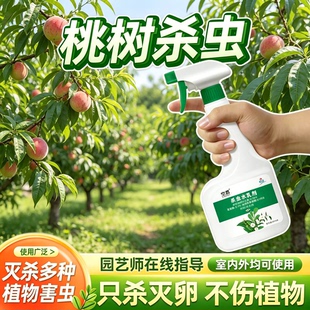 打桃子树除桃树杀虫专用药果树梨树钻心黄虫药治防虫非农药杀菌剂