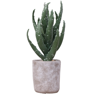 北欧创意多肉仙人掌仿真植物盆栽摆件假绿植室内家居花卉装饰摆设