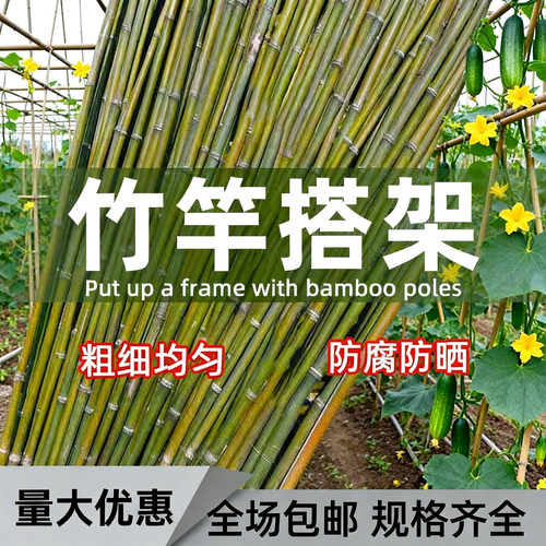 粗细均匀品相规整庭院竹竿栅栏