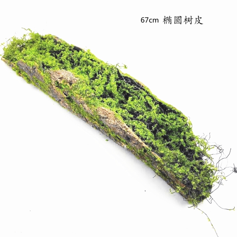 造景墙面苔藓摆放花器悬挂树皮