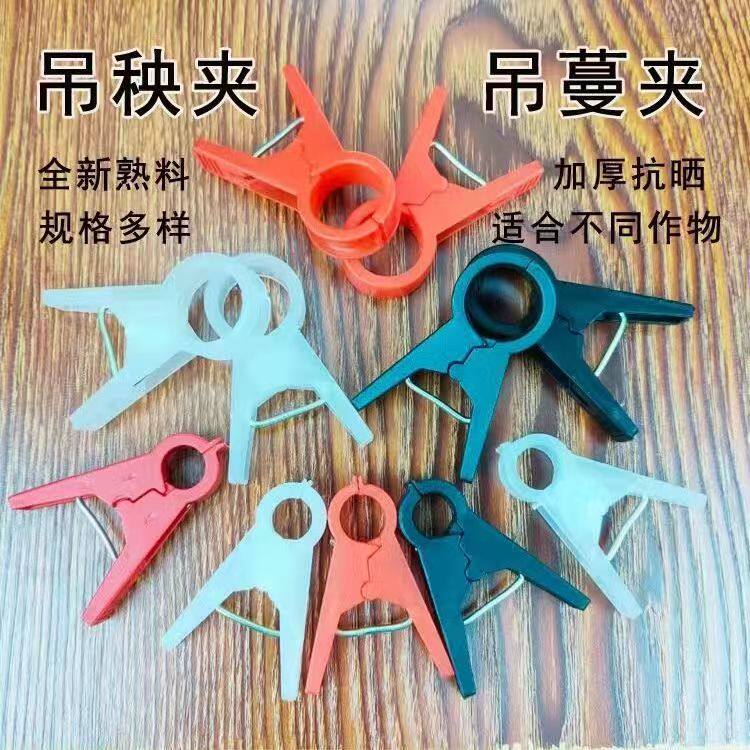 大棚西红柿番茄绑蔓夹吊秧夹子落蔓扶蔓夹子黄瓜夹子蔬菜塑料加厚
