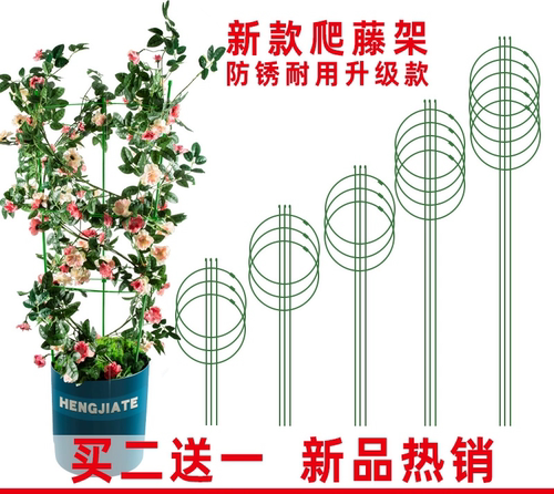 rte其他ho/攀铁球杆盆月