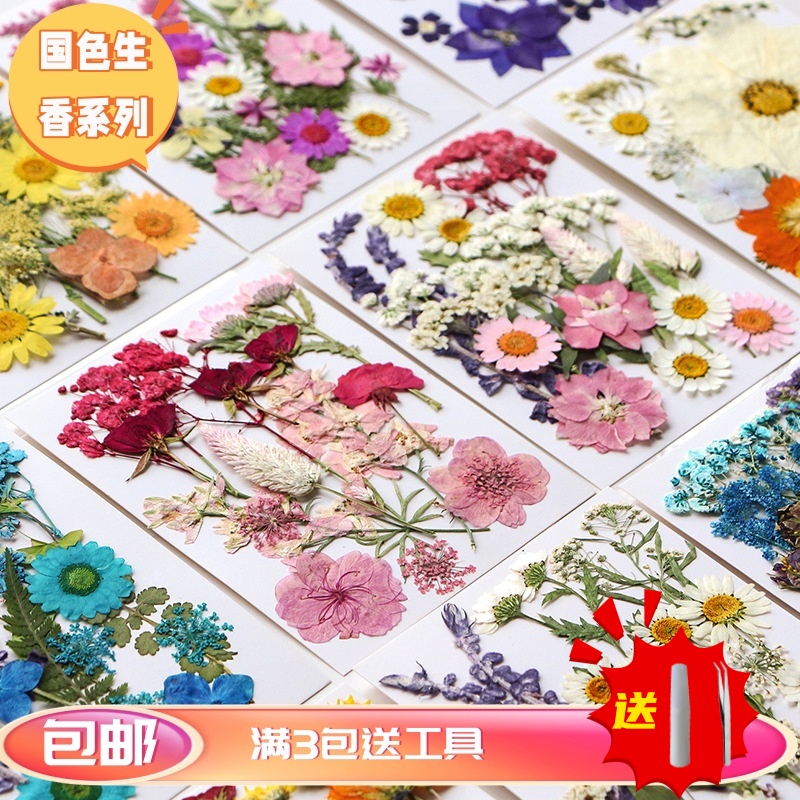 新款干花压花材料包贴脸装饰眼角写真花瓣diy滴胶相框植物标本