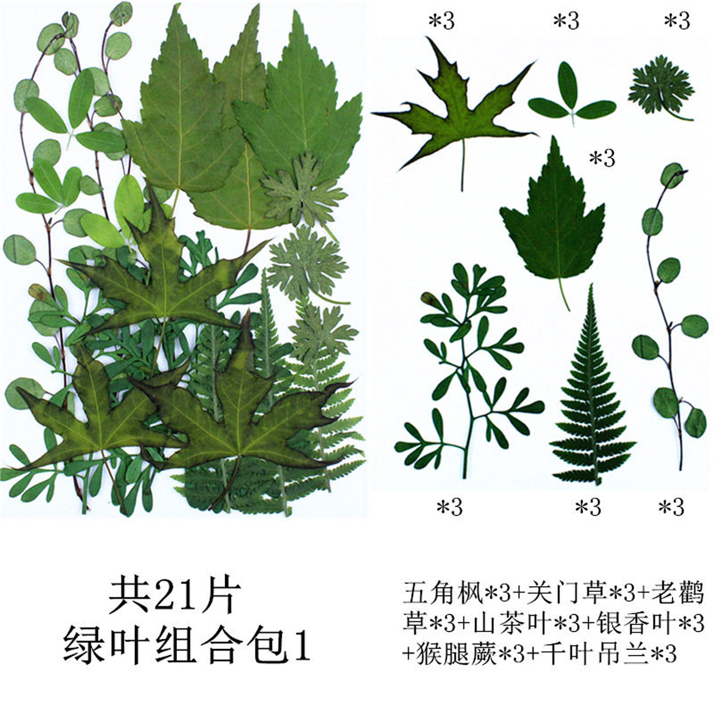 仿真干叶组合包压花贴画道具