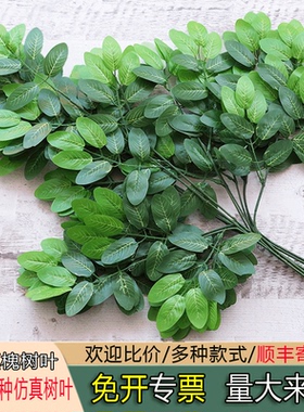 仿真槐树叶枣树叶过胶槐枝叶人造国槐叶子园林工程造景装饰绿植假