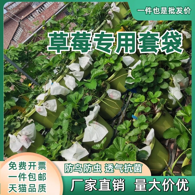 樱桃专用套袋草莓无花果套袋防鸟防虫病害防雨水育果袋车厘子蜡袋