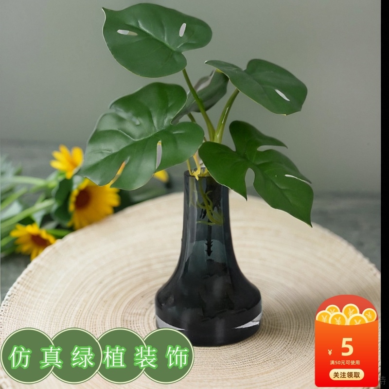 仿真龟背叶苹果叶彩芋叶小六头水培造景软装插花植物墙家居装饰