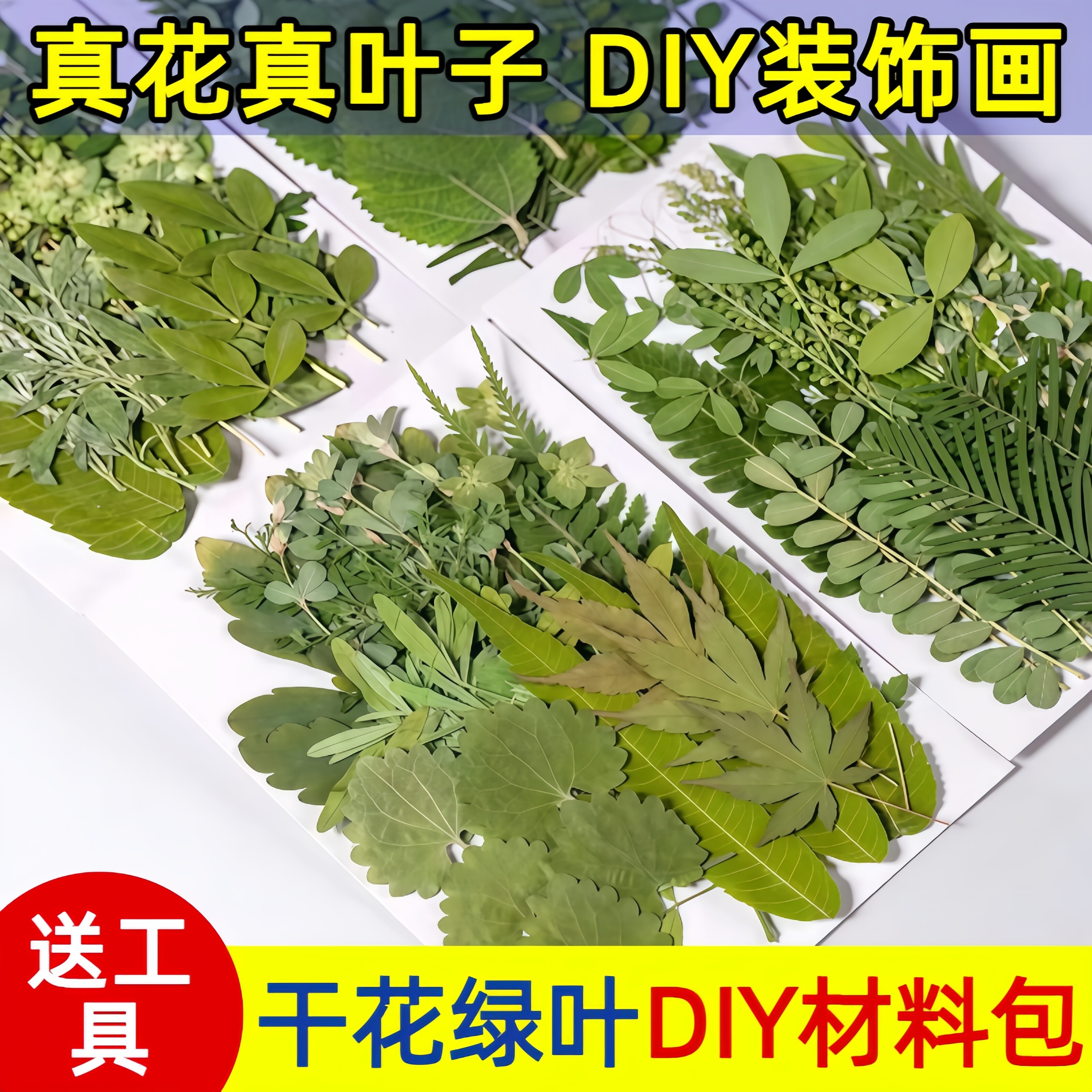 开学季礼物植物标本天然真干花树叶diy材料压花相框书签台灯滴胶