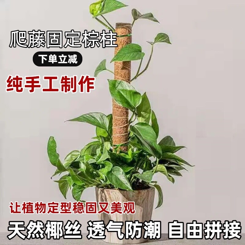 绿萝柱椰棕棒桩植物花架攀爬架加粗可拼接浇水支撑椰丝苔藓杆缠绕