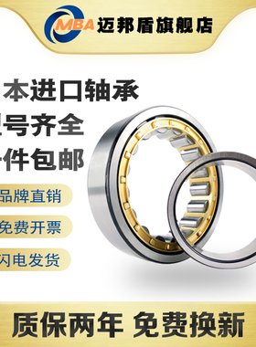 日本MBA进口圆柱滚子轴承 NU244 248 252 256 260 EM P5 P4